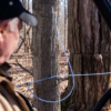 Forest Management for Maple Producers