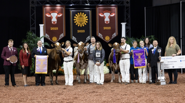 International Ayrshire Show