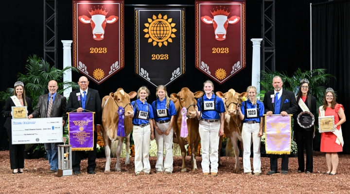 International Junior Guernsey Show