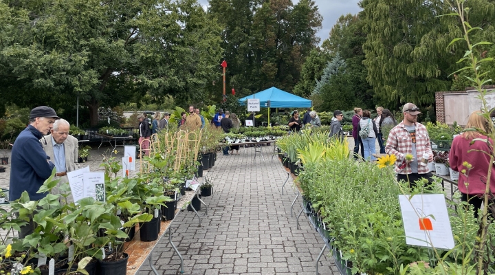 Fall Plant Sale