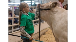 Junior livestock show