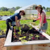 Horticulture and Gardening Training