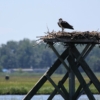 Conservation Stewardship Award