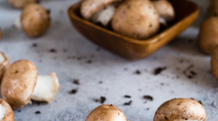 growing mushrooms