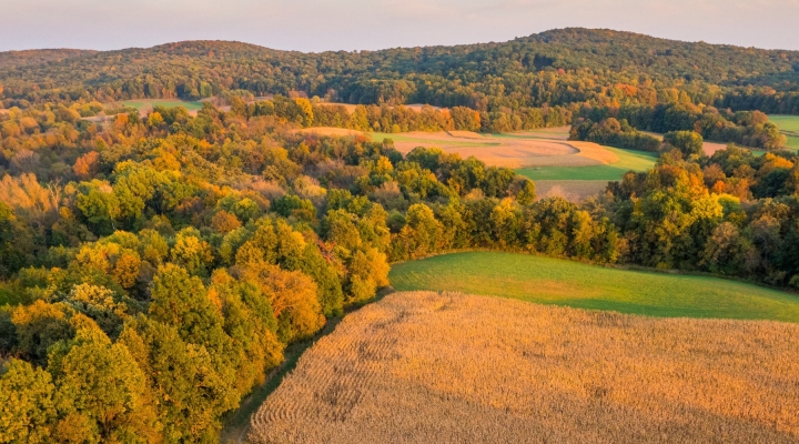 Landscapes for Landsake Speaker Series