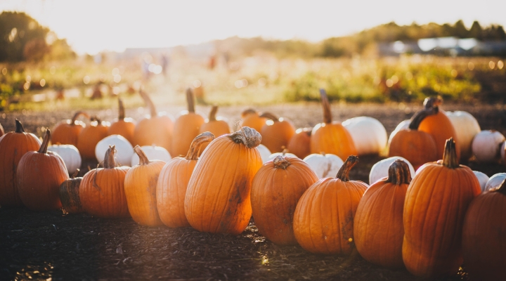 Agritourism Month in Michigan