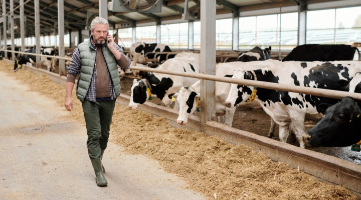 National Dairy FARM Program