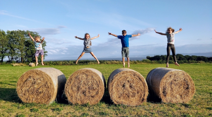 OKFB Foundation for Agriculture Awards 10 Mini Grants