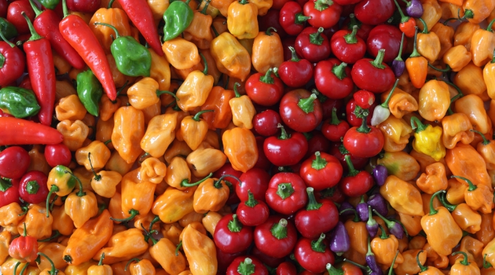 spicy food