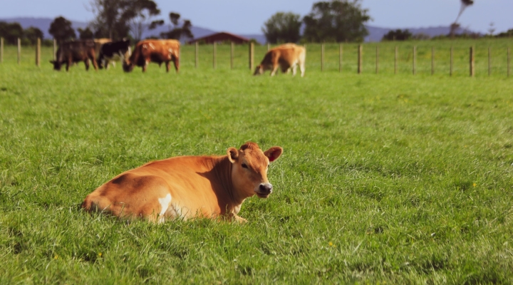 Livestream to Celebrate National Farmers Day