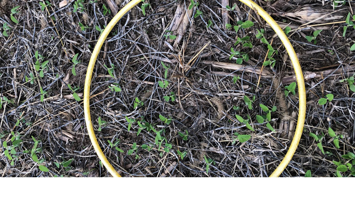 grain loss