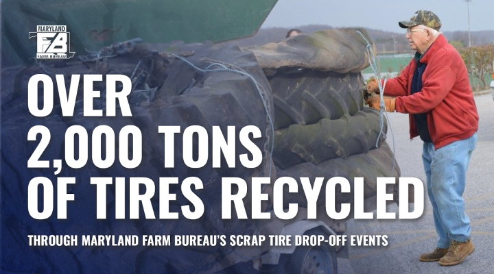 Recycling Events